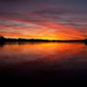 Meet your Posher, Darla